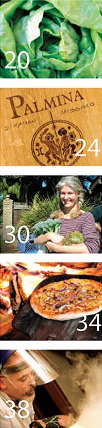 Several photos illustrating feature stories