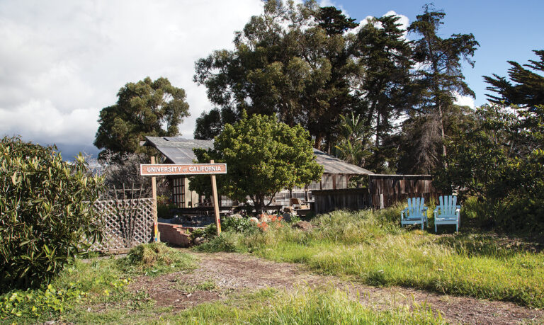 UCSB Community Garden