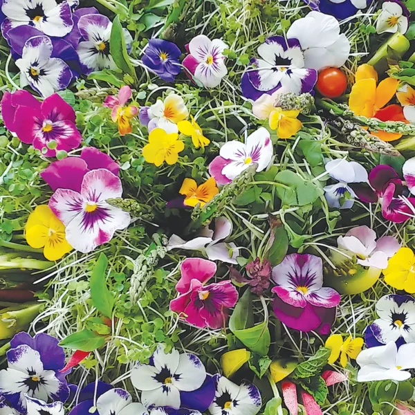 A colorful Summer Alpine Salad decorated with edible flowers.