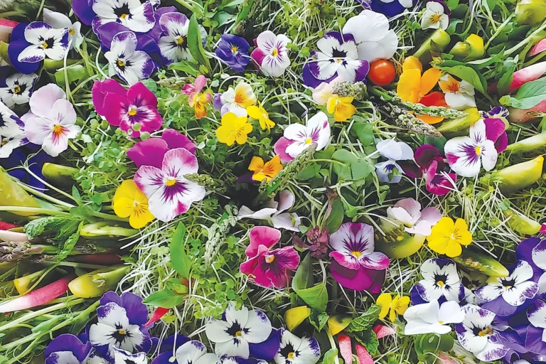 A colorful Summer Alpine Salad decorated with edible flowers.