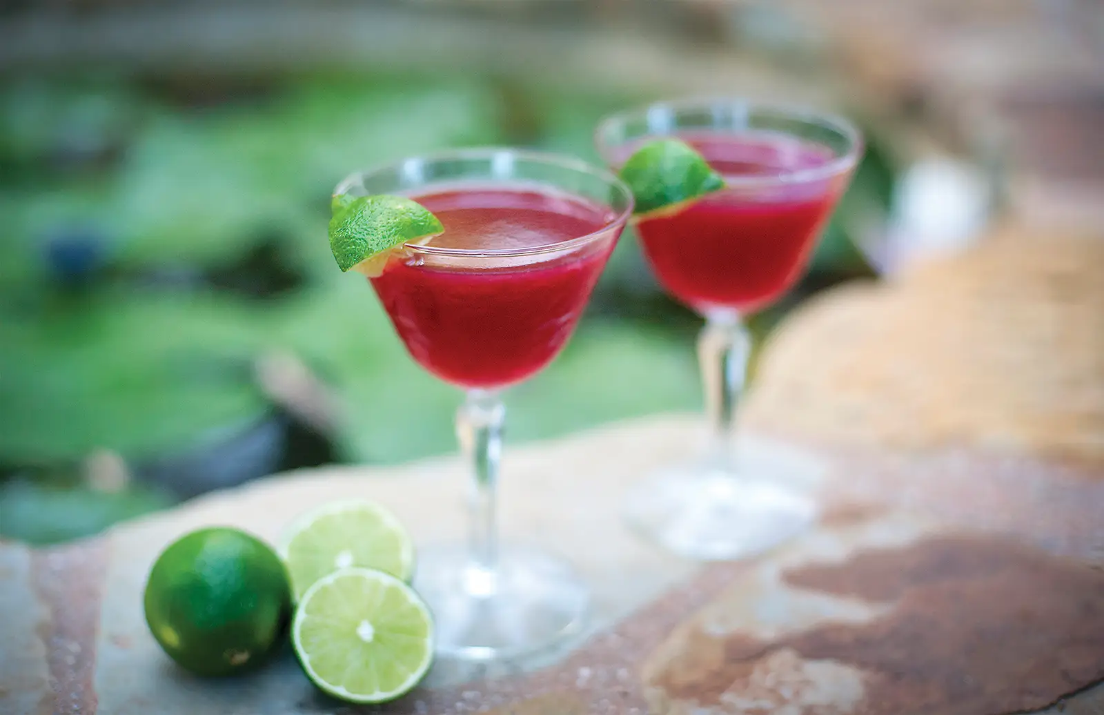 Pisco Plum - Edible Santa Barbara and Wine Country