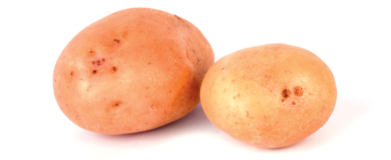 Potatoes