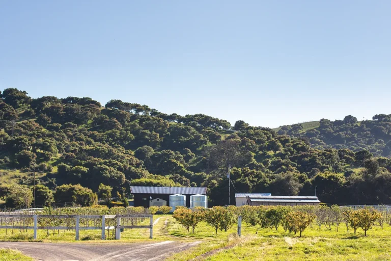 Rock 12 distillery and tasting room in the Santa Rita Hills.