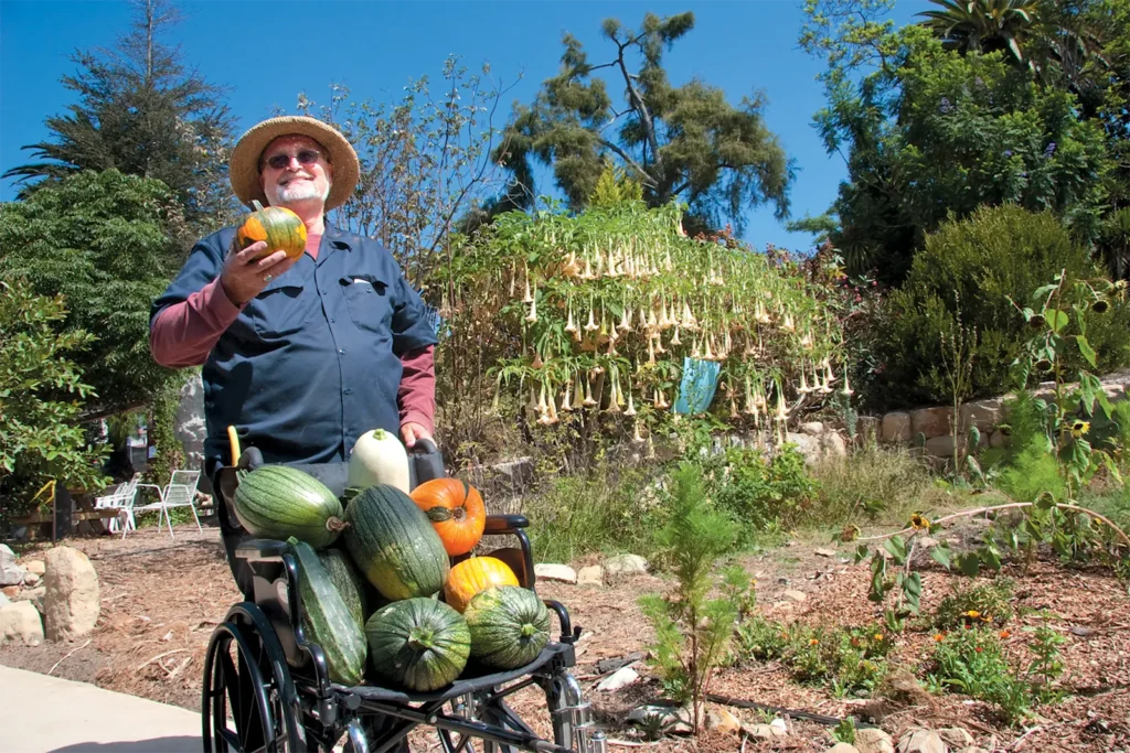 Jerry Sortomme pushes a wheelchair full of squash at La Huerta Historic Gardens at the Santa Barbara Mission.