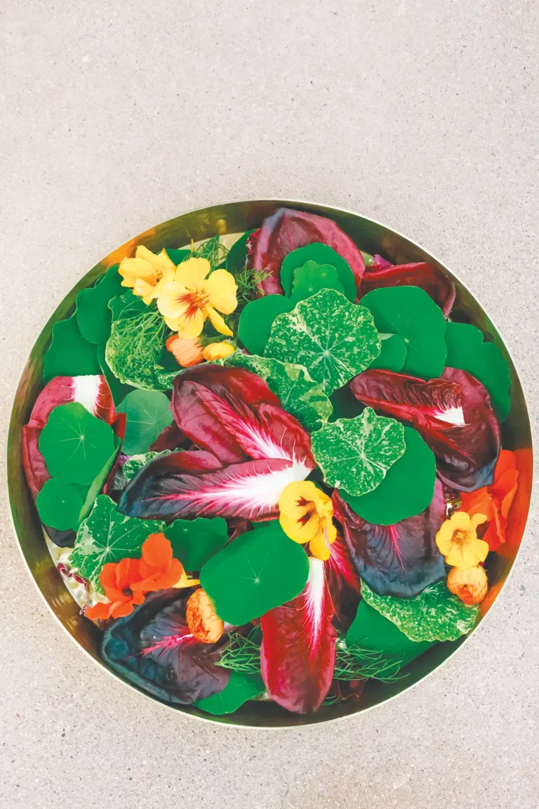 Nasturtium and Treviso Salad with Whole-Grain Mustard Vinaigrette