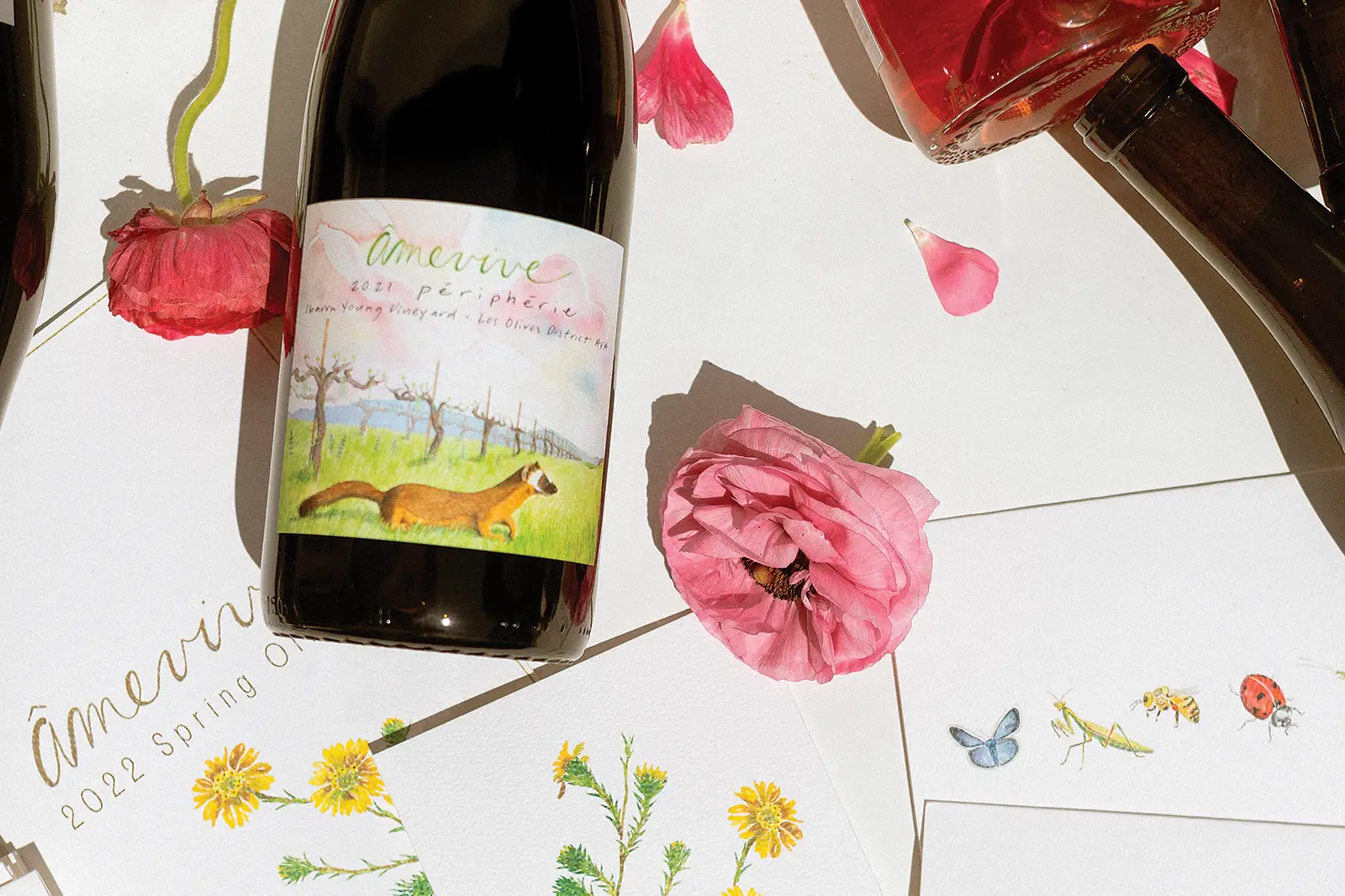 Âmevive wine labels labels feature artwork by Alice and her mom.