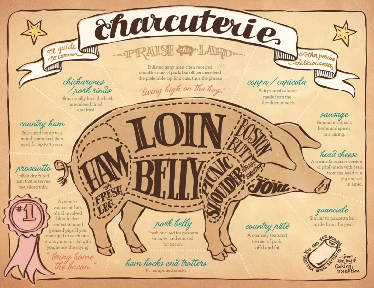 Illustration of a pig outlining all of the parts used in charcuterie.