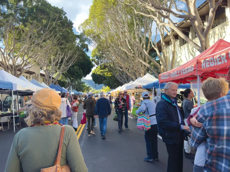 People walk and shop among the tree lined streets at the Downtown Saturday Santa Barbara Farmers Market,