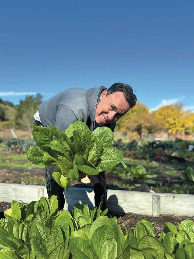 Sean Fennel harvests greens from his garden.