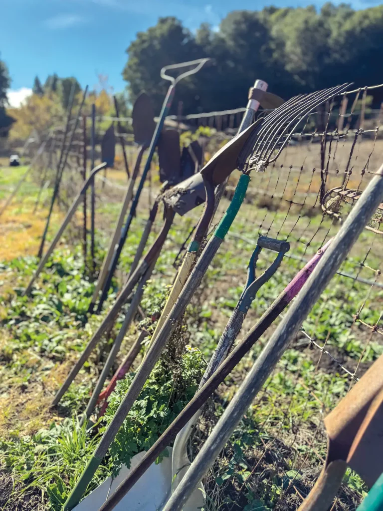 Rakes, shovels, and other tools leaning up against a wire fence.