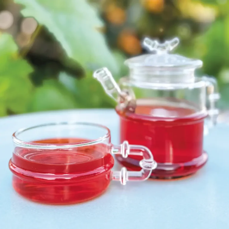 Small tea pot and tea cup filled with dark honey colored loquat tea.