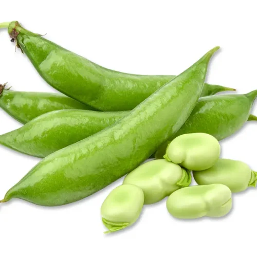 Small pile of fava bean pods and shelled fava beans against a white background.