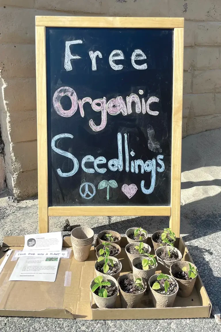 Sign reading Free Organic Seedlings with small seedling pots below it.