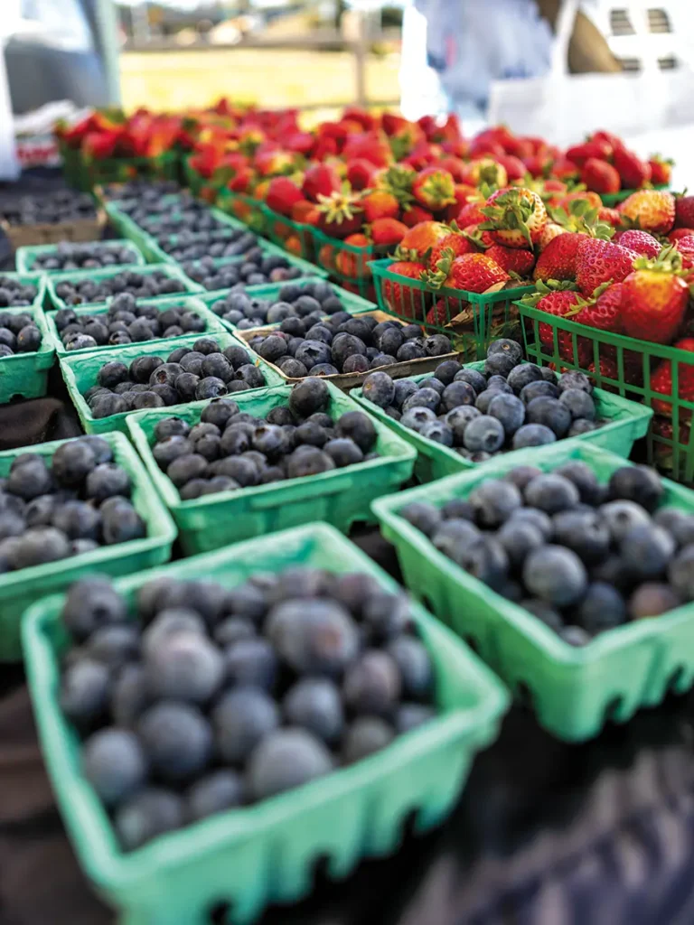 Fresh blueberries and strawberries from L:ompoc on a table for sale.