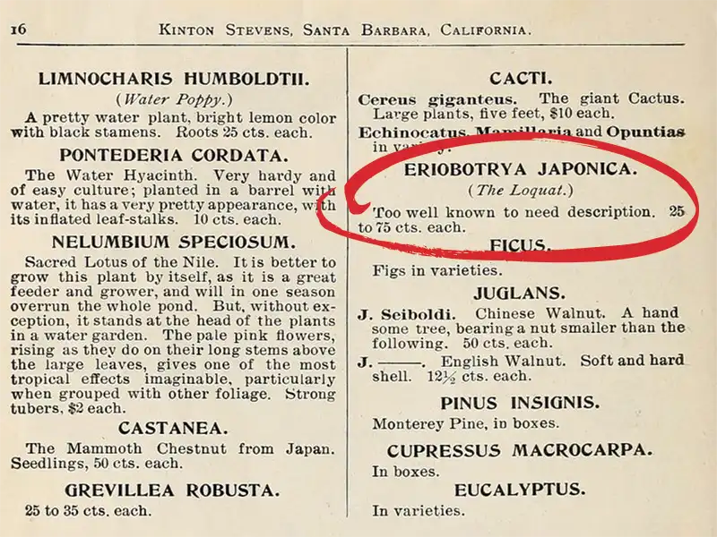 Kinton Stevens’ horticultural catalog from 1891 with Eriobotrya Japonica circled.