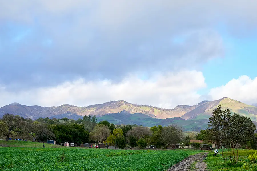 Midland school farm with the mountains and blue sky in the background.