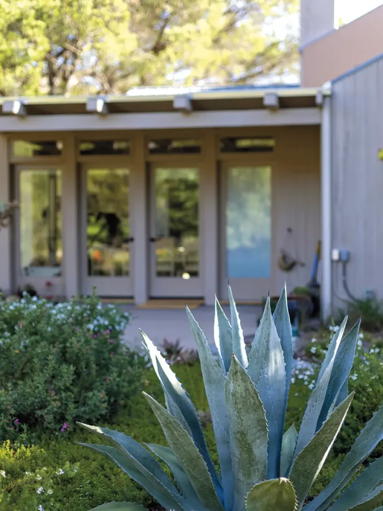 Gardenscape with agave in the foreground and the new house in the background.