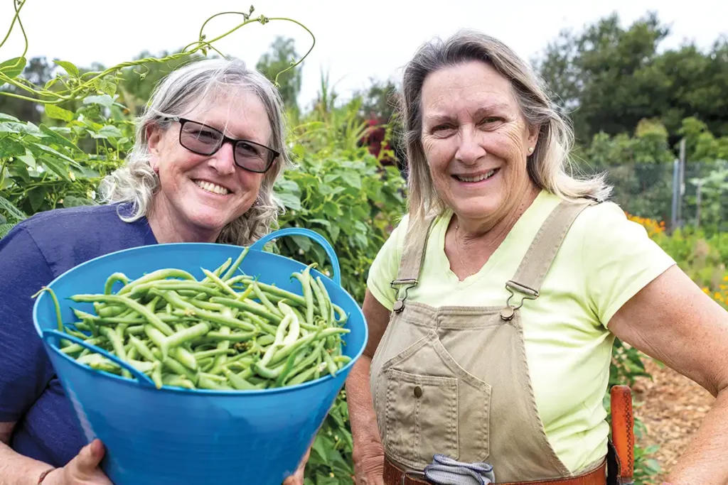 Kim Summerfield and Jane Dow harvest green beans at Trinity Gardens.