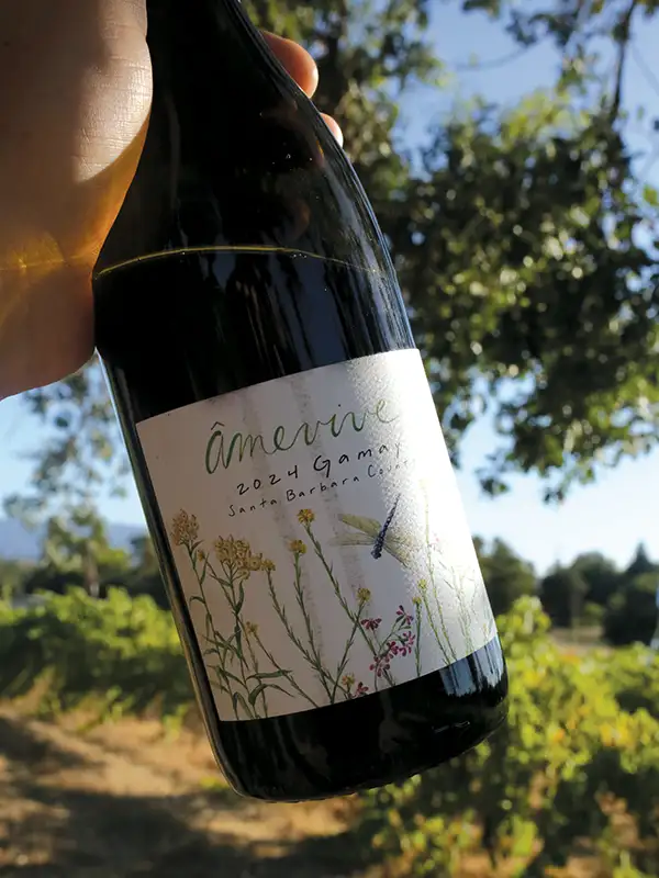 Âmevive’s 2024 gamay.