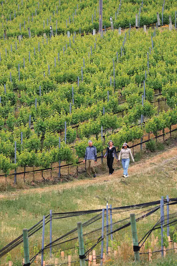 Three people take a guided hike in the vineyard.