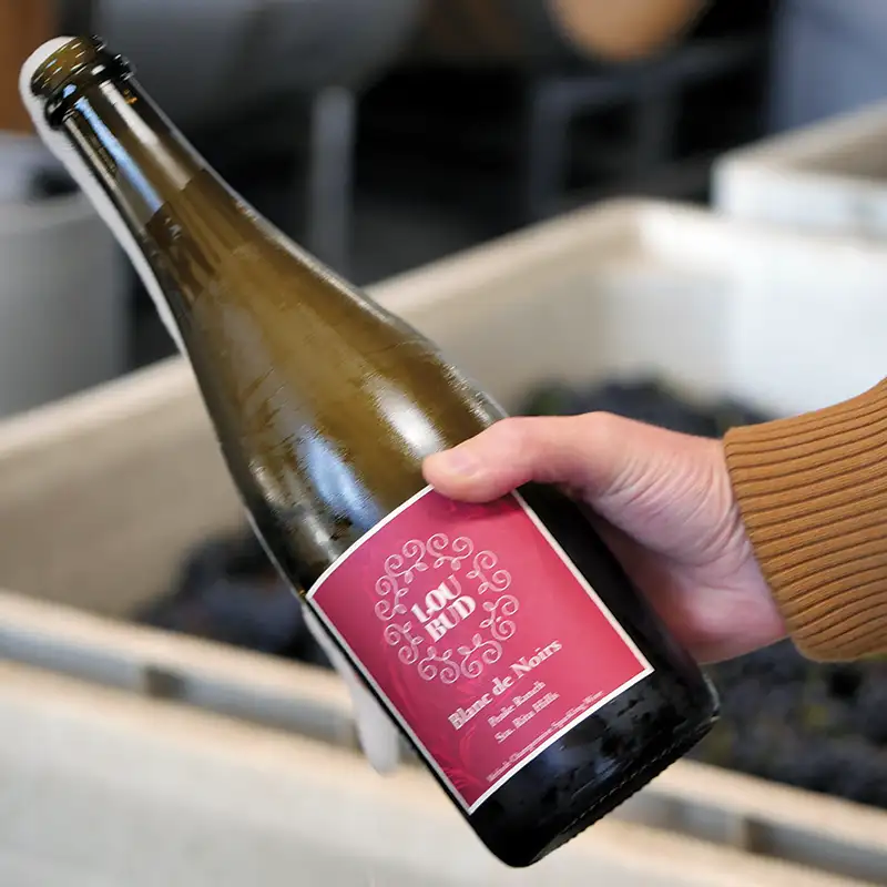 Bottle of Lou Bud sparkling wine.