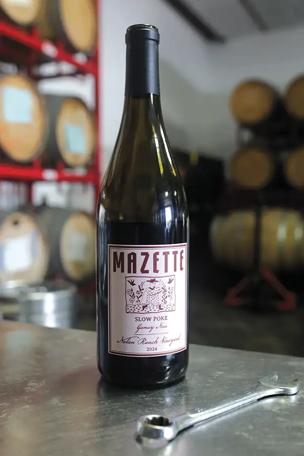 Mazatte’s 2024 Gamay Noir.