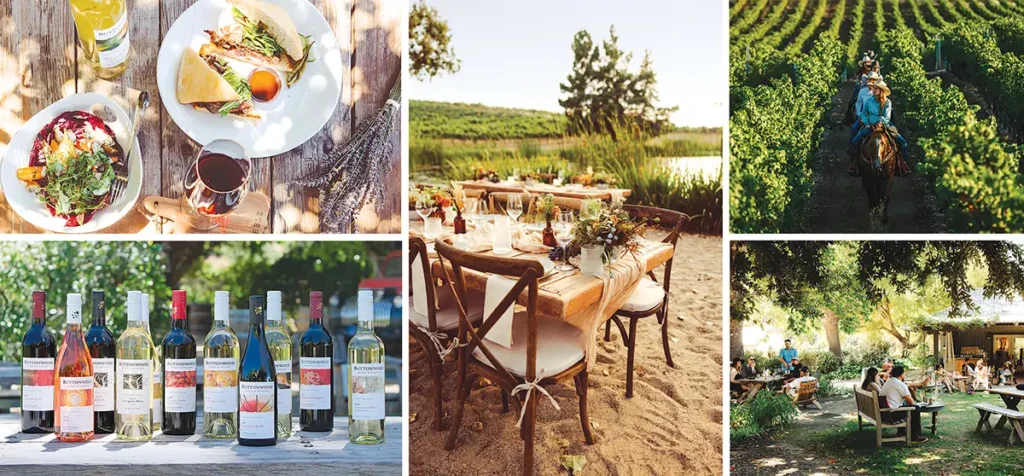 A collage of scenes from Buttonwood Farm and Vineyard.