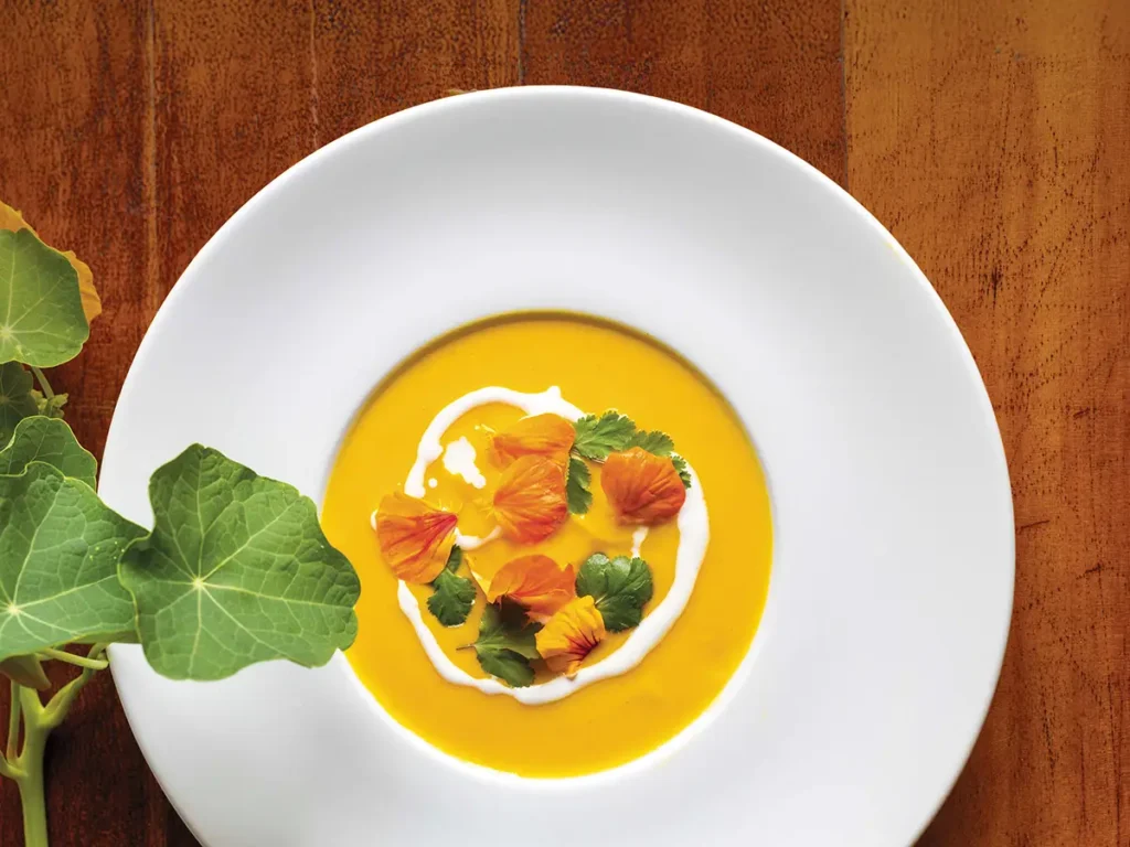 Wide rimmed white bowl with brilliant orange carrot and coriander soup topped with nisturtium flowers and a swirl of crème fraîche.