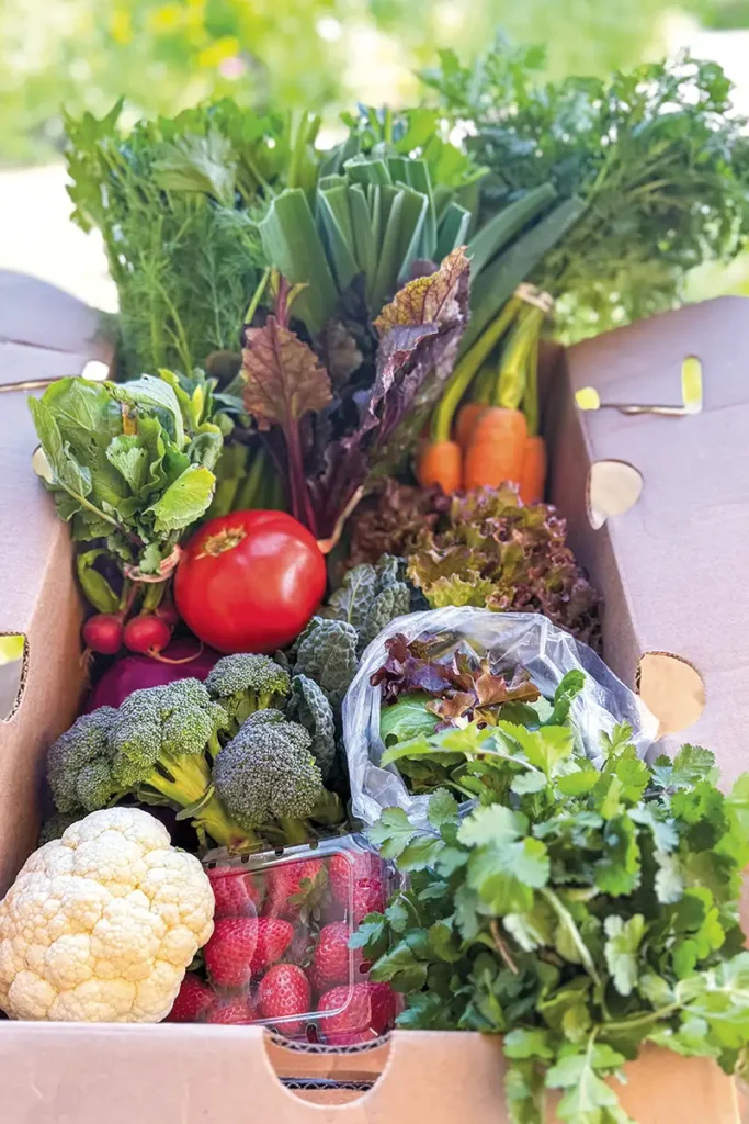 CSA box from Food for Good