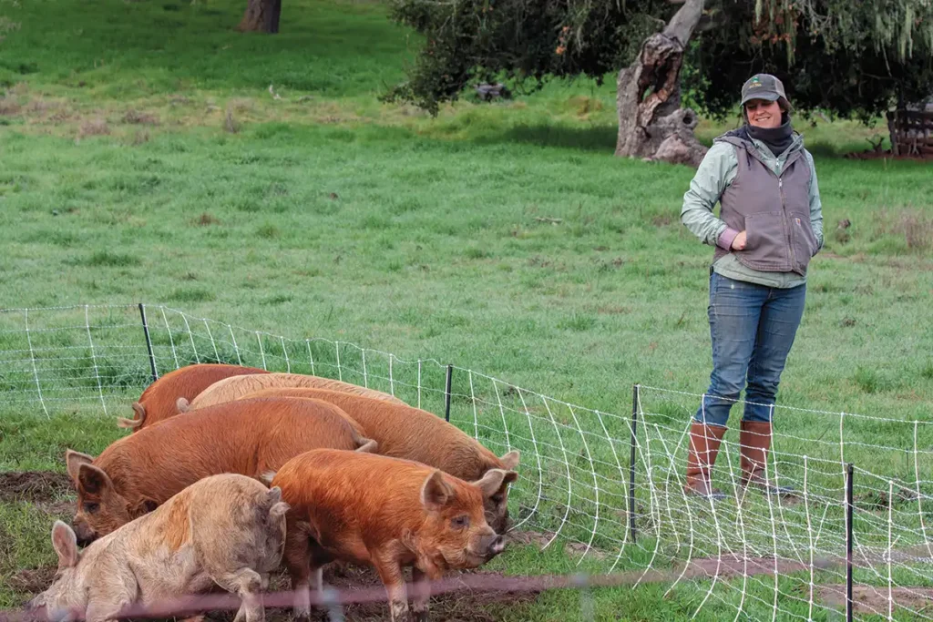 Halli Moore tends to the pigs.