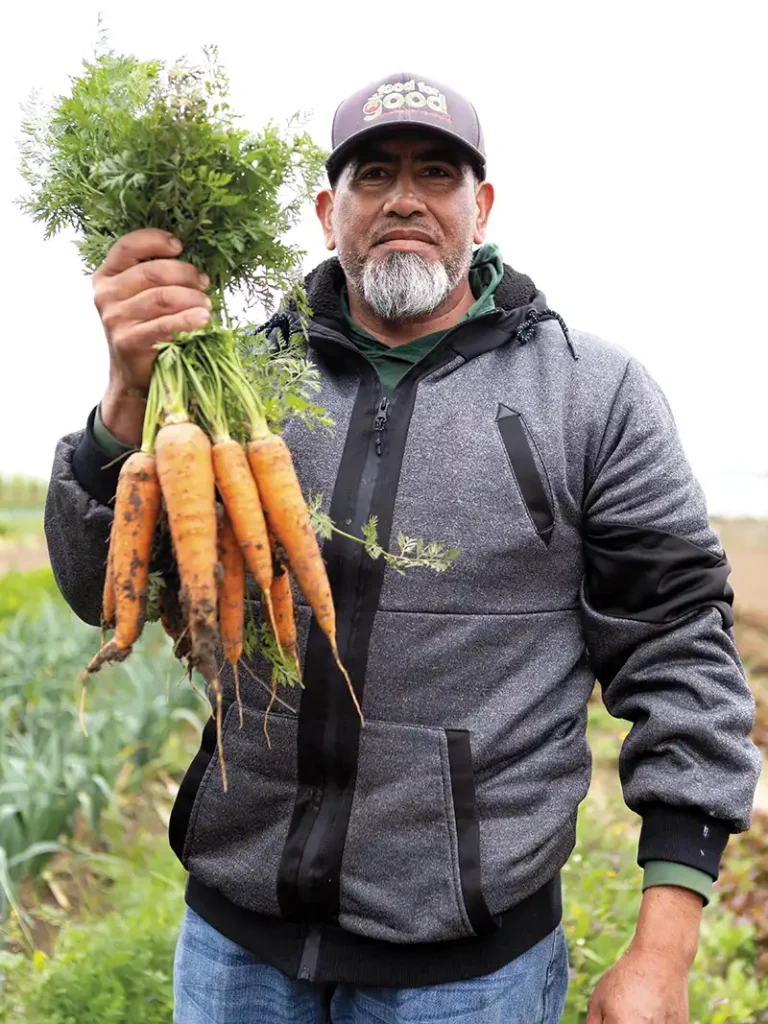 Jose Ignacio harvests carrots.