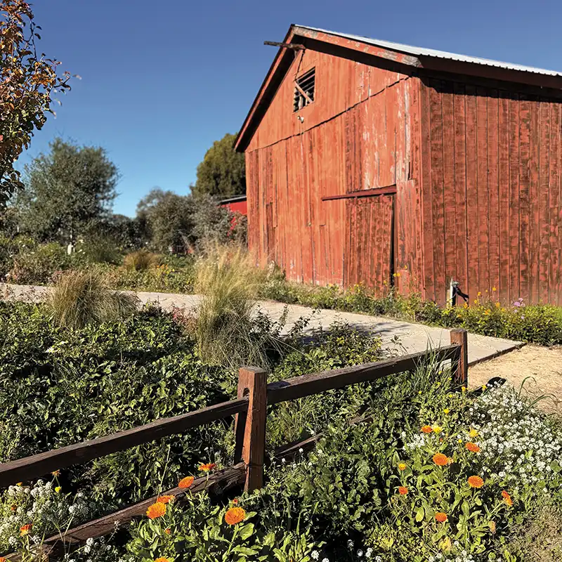 Old barn at Las Cumbres Ranch.