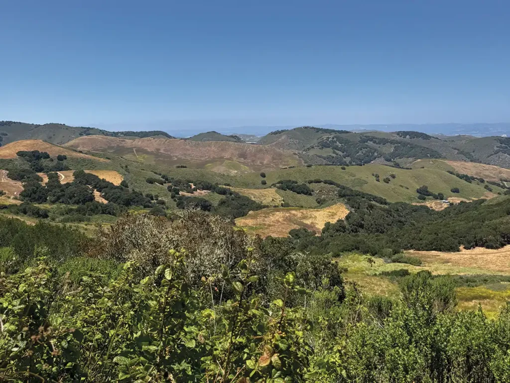 Landscape of the White Buffalo Land Trust at Jalama Canyon Ranch.