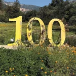 A large "100" sculpture surrounded by California poppies and native wildflowers celebrates the Santa Barbara Botanic Garden's centennial against the backdrop of the Santa Ynez Mountains.