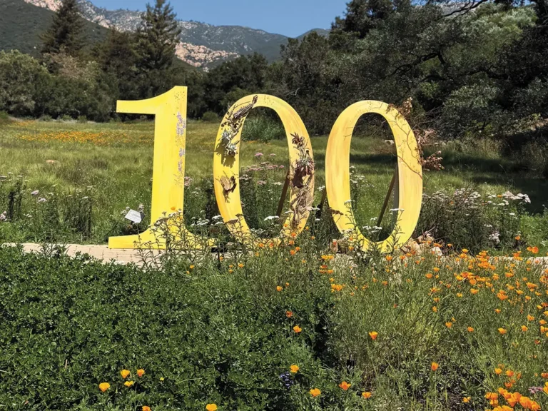 A large "100" sculpture surrounded by California poppies and native wildflowers celebrates the Santa Barbara Botanic Garden's centennial against the backdrop of the Santa Ynez Mountains.