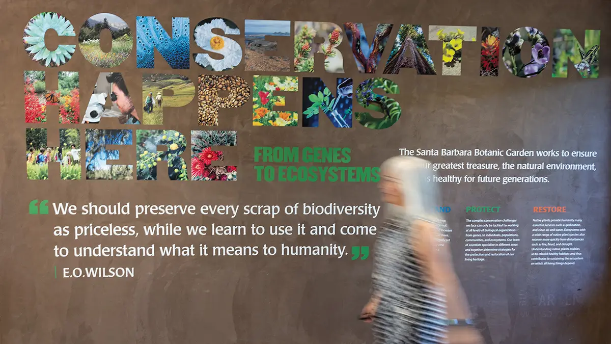 A colorful exhibit at the Santa Barbara Botanic Garden highlights the theme of biodiversity and conservation with nature-filled lettering, an E.O. Wilson quote, and a blurred visitor walking past.