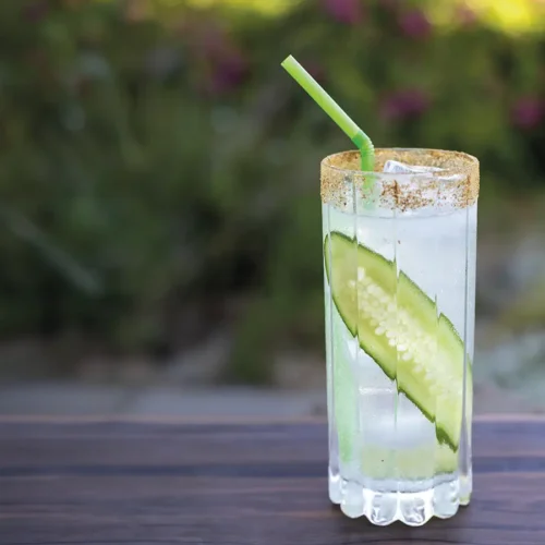 Tall glass with a cucumber slice against the side and a celery salt rim.