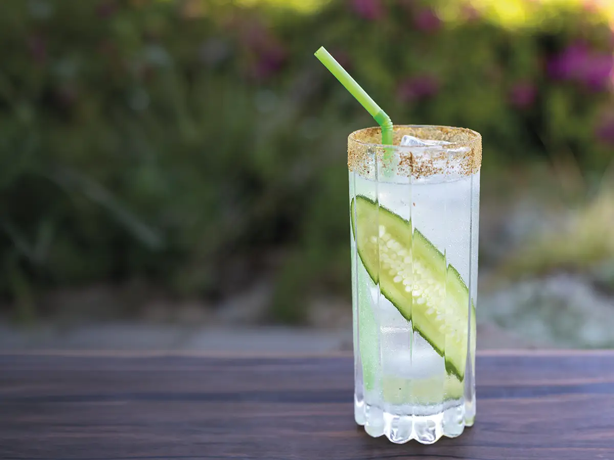 Tall glass with a cucumber slice against the side and a celery salt rim.