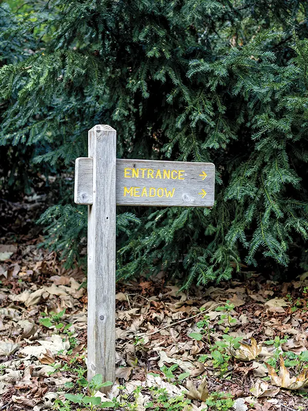 A rustic wooden sign points visitors toward the entrance and meadow along a shaded trail at the Santa Barbara Botanic Garden.