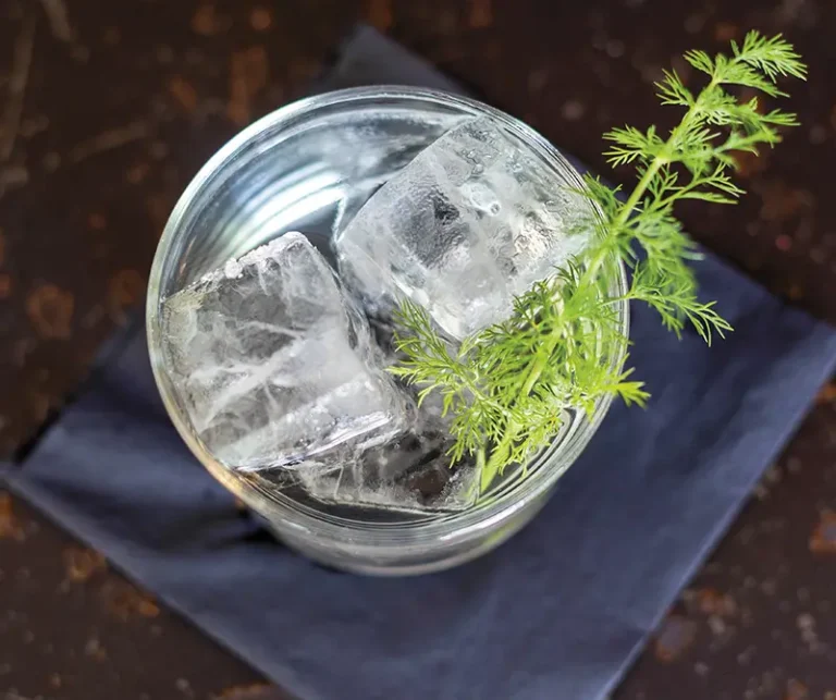 Morning Dew cocktail at Dusk.