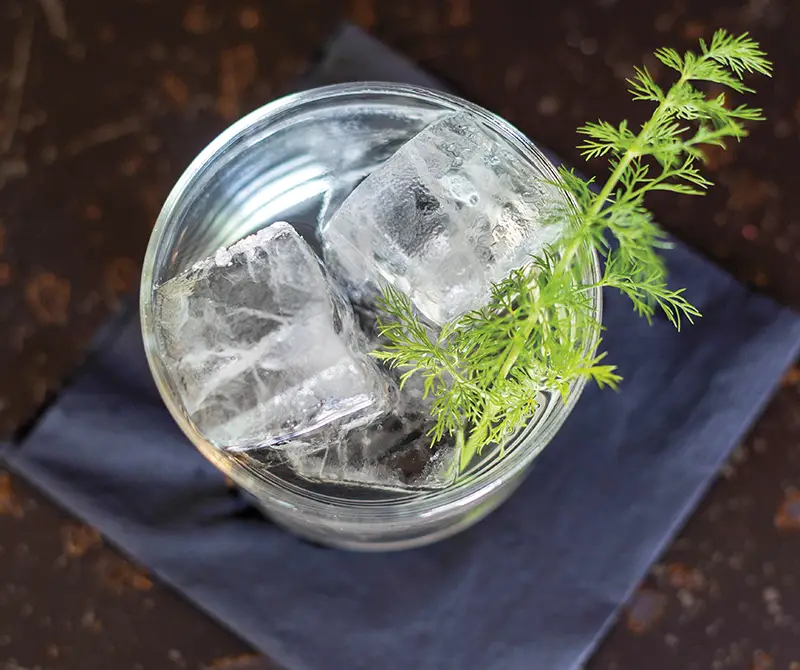 Morning Dew cocktail at Dusk.