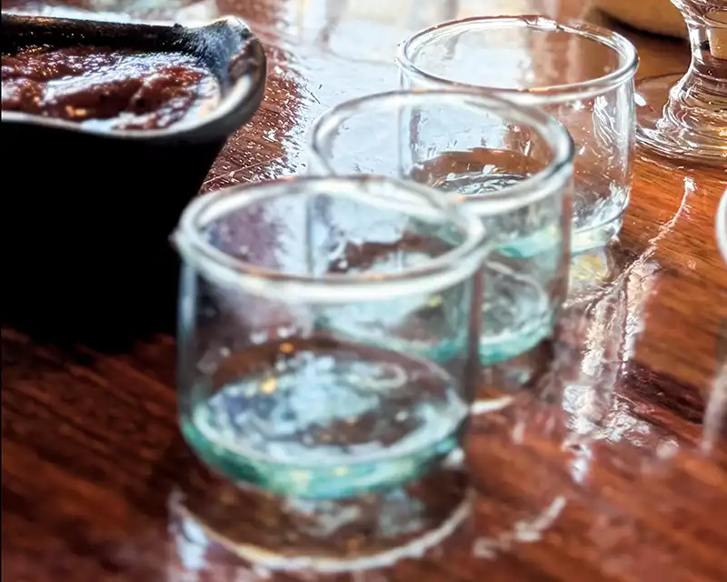 Small glasses of mezcal arranged for a tasting.