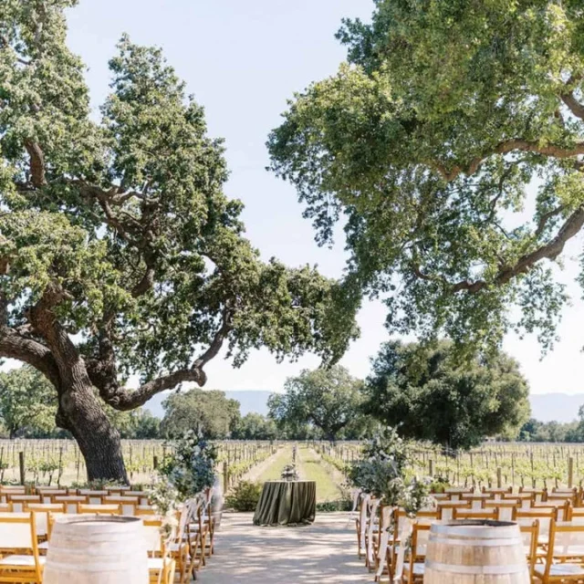 Set among 21 acres of vineyard surrounded by stately oak trees, Roblar Winery @roblarwinery, captures the true essence of the Santa Ynez Valley—rustic, authentic, and bold. Every bottle reflects the rich character and diversity unique to this region. With a wide variety of standout wines, fresh farm-to-table pairings, a locally inspired food menu, and immersive estate experiences, Roblar offers something genuinely special. There’s no place in Santa Ynez quite like it.

With two unique event venues, Roblar offers a timeless yet modern setting for unforgettable celebrations and weddings.Their in-house Executive Chef and culinary team create fresh, seasonal dishes inspired by ingredients from their very own organic farm—perfectly paired with estate-grown wines for gatherings big or small. Host your celebration on the private Twin Oaks Terrace with vineyard views, then dine al fresco under twinkling string lights on the Main Lawn. Afterward, cozy up by the fireplace under the wisteria-covered Pergola, or let the party continue in the Bottle Room, where your guests can dance the night away.

See more at @roblarwinery!

#ediblesantabarbara #santabarbaracounty #centralcoastweddings #santabarbarawedddings #sbcwine #sbcwines #santabarbarawinecountry @edibleweddingscentralcoast